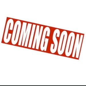 Blundstone Gray Chelsea Boots - Well Worn!